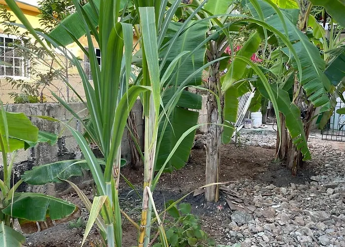 Jade Coast Getaway Near Montego Bay