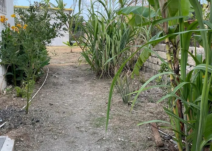 Apartment Jade Coast Getaway Near *